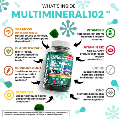 Sea Moss Gummies | Clinically Tested - Black Seed Oil Ashwagandha Elderberry Burdock Root Chlorella Manuka Honey - Vegan Irish Sea Moss Gummy Vitamins for Adults Kids Men Women - Green Apple Flavor Clean NutraceuticalsBuy Supplements Australia