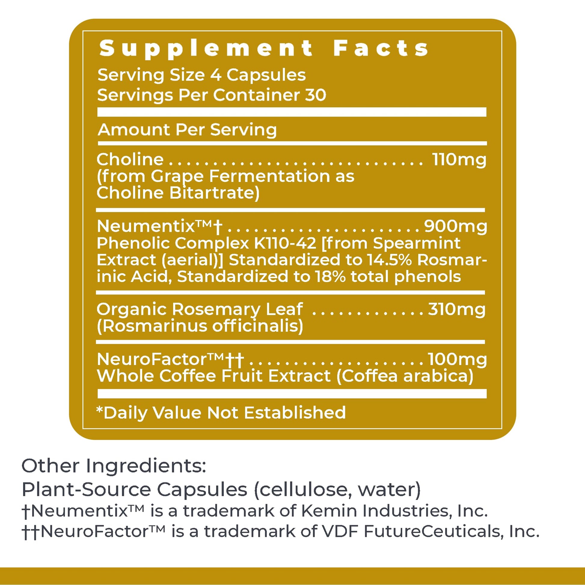 Premier Research Labs Cognitropic - Brain Supplements for Memory and Focus, Focus Supplement, Brain and Memory Power Boost, Clarity Vitamins for Brain, Memory Support - 120 Vegetarian Capsules Premier Research LabsBuy Supplements Australia