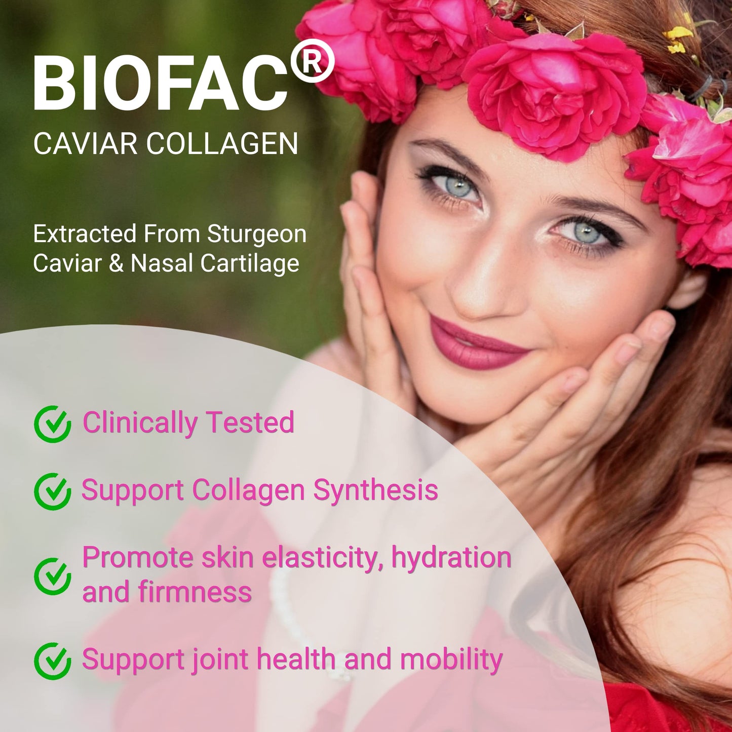 UpNourish Probiotics, Caviar Collagen with Prebiotics for Women's Digestive, Skin Radiance, and Feminine Health with Cranberry