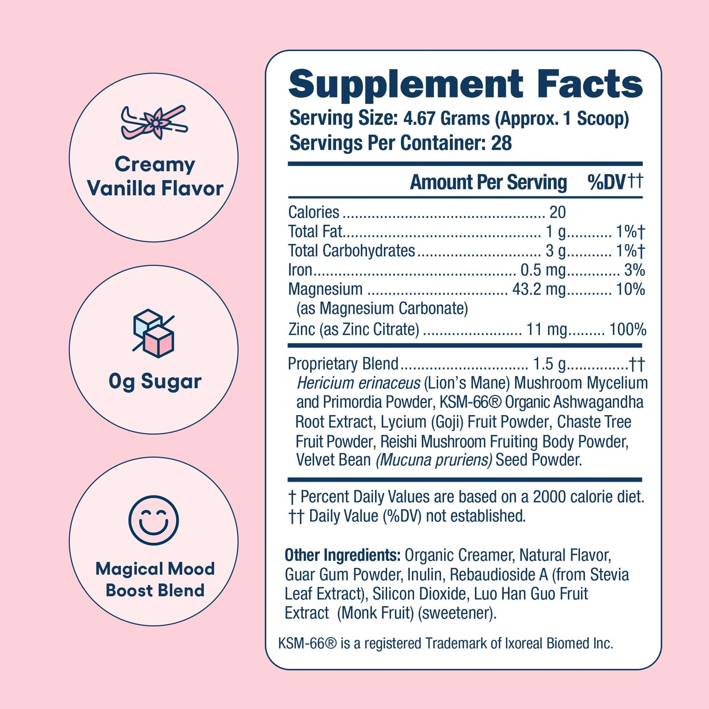 Love Sweat Fitness Mood & Stress Support Supplement for Women | Ashwagandha, B Vitamins & Magnesium Powder | Focus, Calm & Balance | Miss Congeniality Vanilla | Vegan, Non-GMO | 28 Servings Love Sweat FitnessBuy Supplements Australia