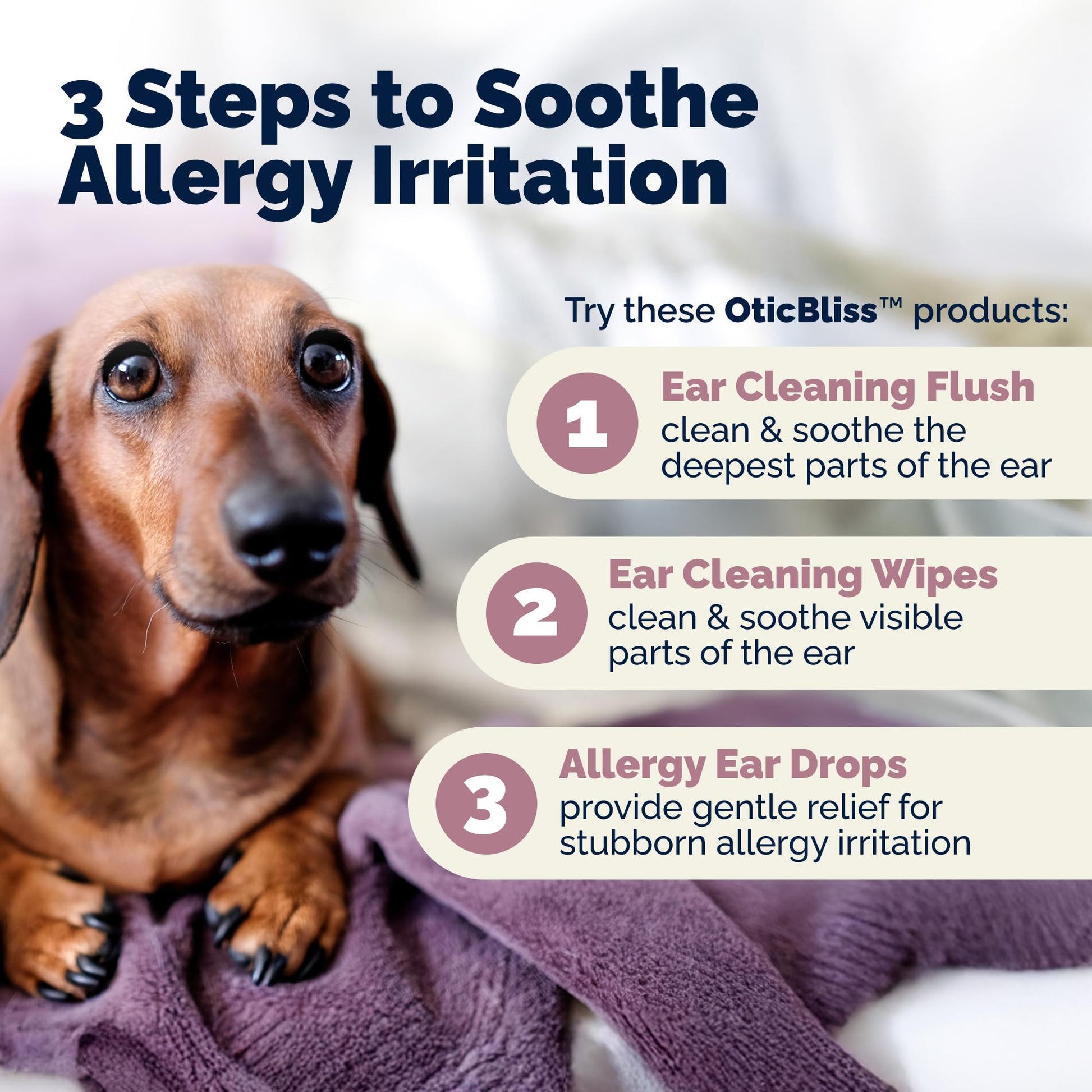 Vetnique Oticbliss Cat & Dog Ear Infection Treatment | Dog Ear Allergy Relief Drops, MicroSilver Yeast Infection Treatment for Dogs, Hydrocortisone for Itching, Redness Swelling (Ear Allergy Drops) Vetnique buy supplements Au