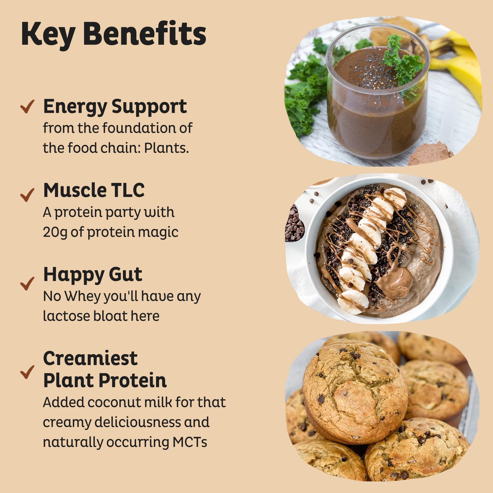 KOS Organic Plant Based Protein Powder, Chocolate Peanut Butter - Delicious Vegan Protein Powder - Keto Friendly, Gluten Free, Dairy Free & Soy Free - 15 Servings KOS buy supplements Au