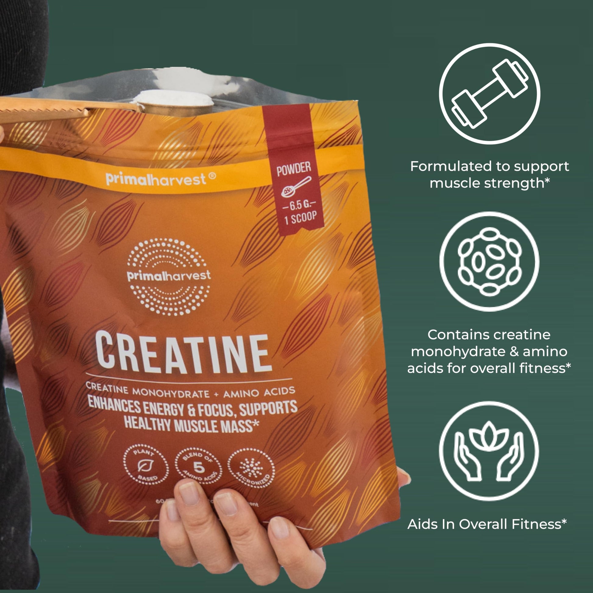 Primal Harvest Creatine Powder Supplement for Men and Women's Fitness, Workouts, and Muscle Growth, to Help Promote Recovery, Strength, Energy, and Endurance (1) Primal Harvest buy supplements Au