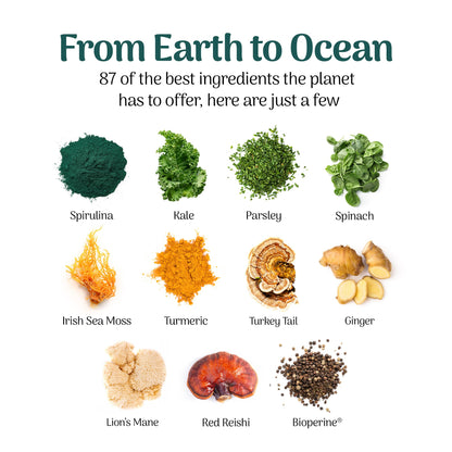 Earth Powder Daily Foundational Nutrition Supplement with 28 Greens & 10 Mushrooms | 87 Nutrients for Energy, Gut Health & Mental Clarity Earth Powder buy supplements Au