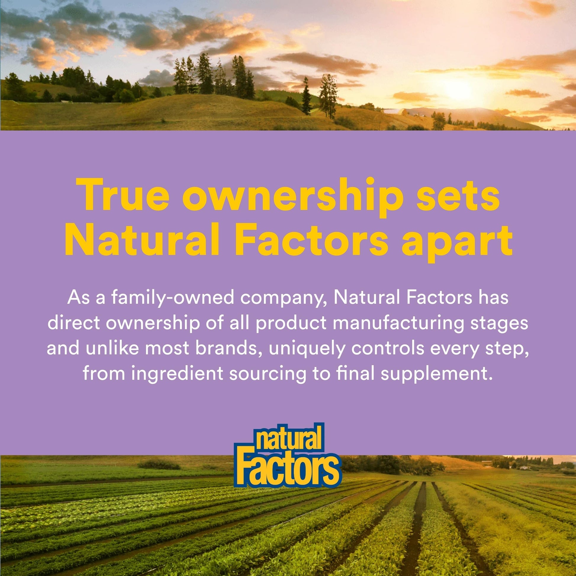 Natural Factors Pharma GABA - Dietary Supplement Supports Calm Sleep & Sleep Quality - Natural, Fast-Working Supplement Aids Focus & Brain Health - 120 Chewable Tablets (60 Servings) Natural Factors buy supplements Au