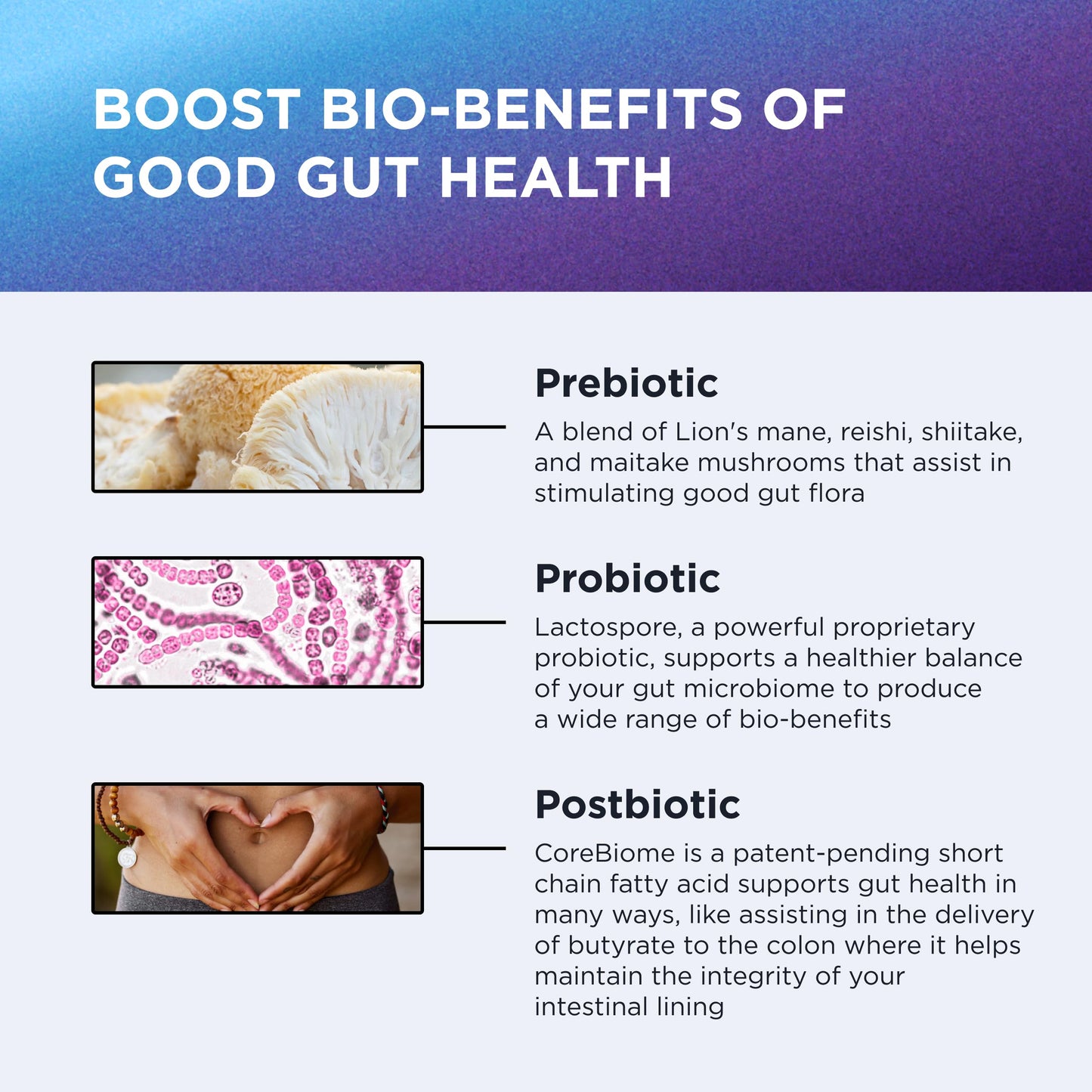 DR. EMIL NUTRITION Women & Men Total Gut Health Complex | Prebiotic + Probiotic + Postbiotic Gut Health Supplements