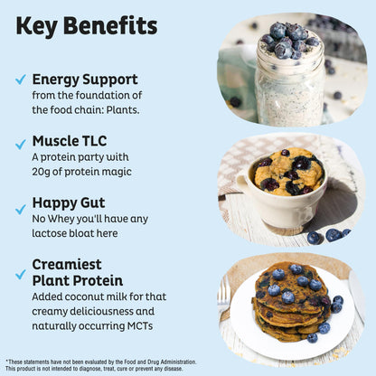 KOS Plant Based Protein Powder, Blueberry Muffin - Organic Pea Protein Superfood with Spirulina and Immune Support Blend. Soy, Gluten, Dairy Free - Vegan Meal Replacement for Women & Men - 15 Servings KOS buy supplements Au