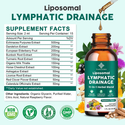 Lymphatic Drainage Drops - 11 in 1 Lymphatic Supplement for Immune, Lymph System & Liver Detox - with Echinacea, Horse Chestnut, Dandelion, Elderberry & Burdock - Raspberry Flavor, Vegan, 2 Fl Oz YANLUOBO buy supplements Au