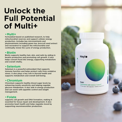 Heylo Multi+ Advanced Multivitamin Supplement – Boosts Energy, Enhances Immune Support, Provides Antioxidant Protection, Promotes Detoxification