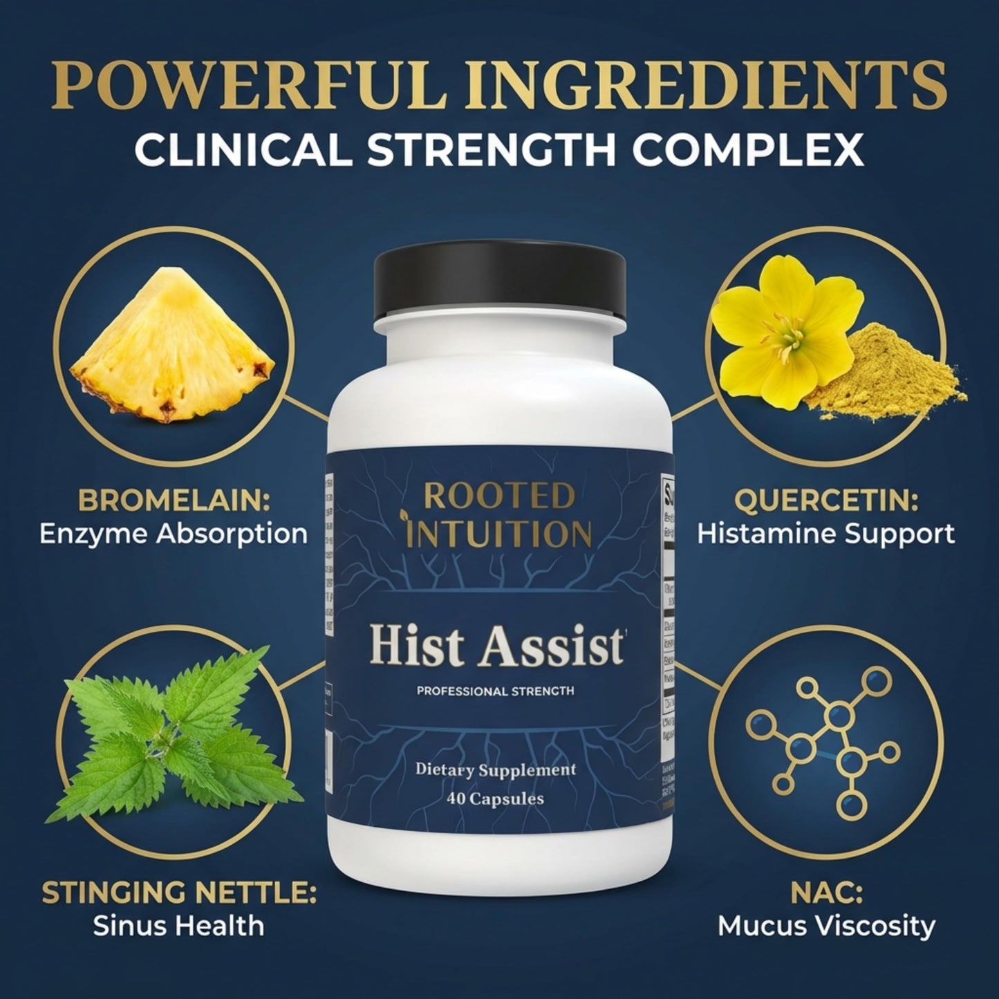 Rooted Intuition Hist Assist | Seasonal Sinus & Immune Balance Formula | Quercetin Bromelain NAC Nettle | Non-GMO Gluten Free | 40 Capsules Rooted Intuition buy supplements Au