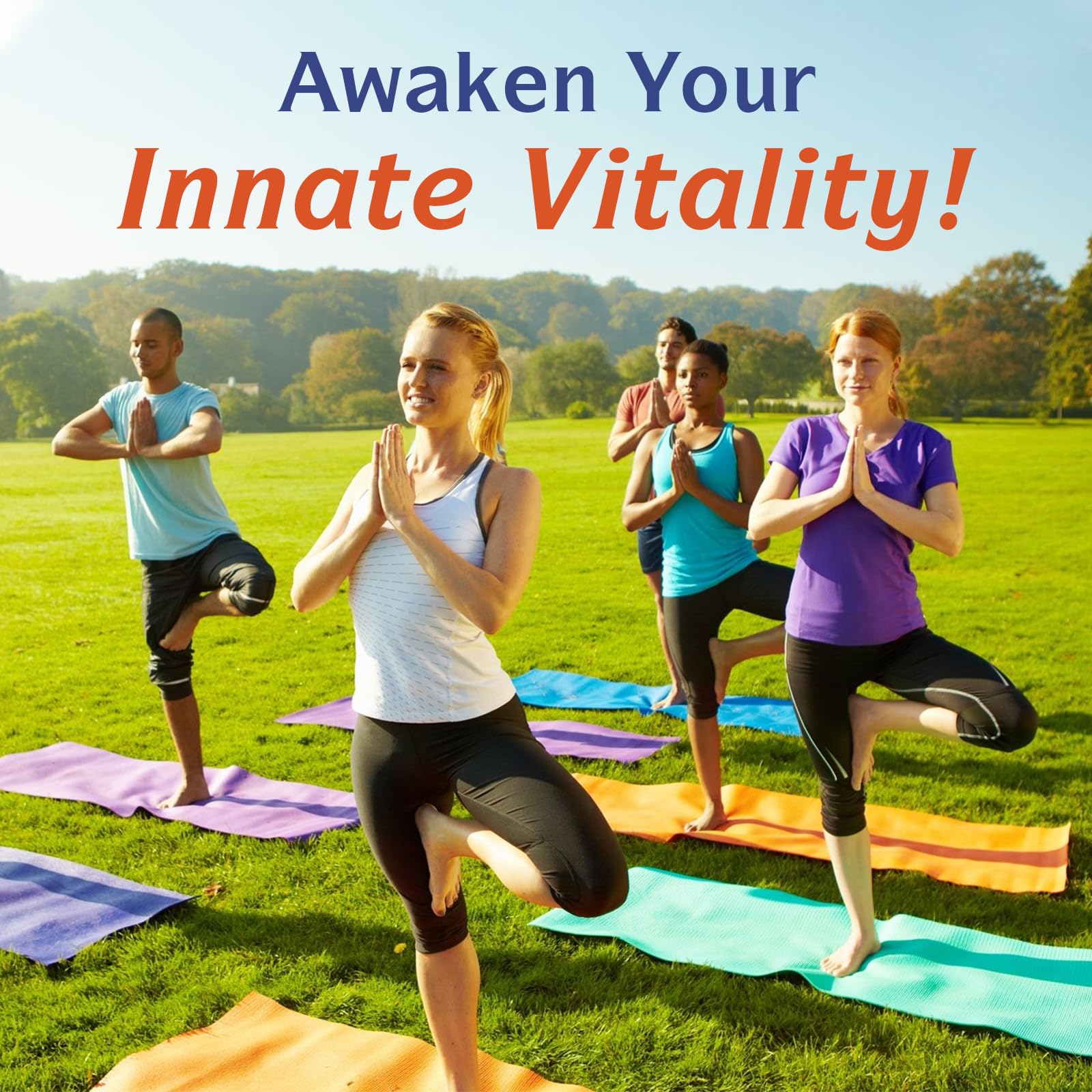 Innate Vitality 10-in-1 Magnesium Complex 960mg, 420mg Elemental Mag per Serving, with Magnesium Glycinate, Citrate, Malate, and More, Sleep, Digestion, Energy Support, 90 Vegan Caps Innate Vitality buy supplements Au