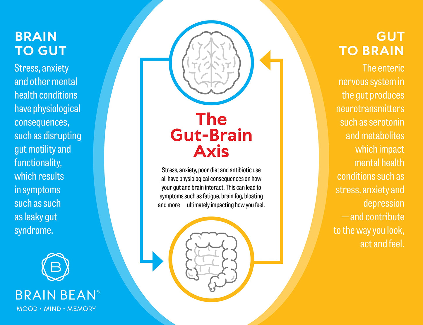 Brain Basics Ultra Pure IgG Supplement - Dairy-Free Supplement IgG-Immunolin Powder, Blended Vitamin & Mineral Supplements, 150g, 60 Servings Brain Bean buy supplements Au