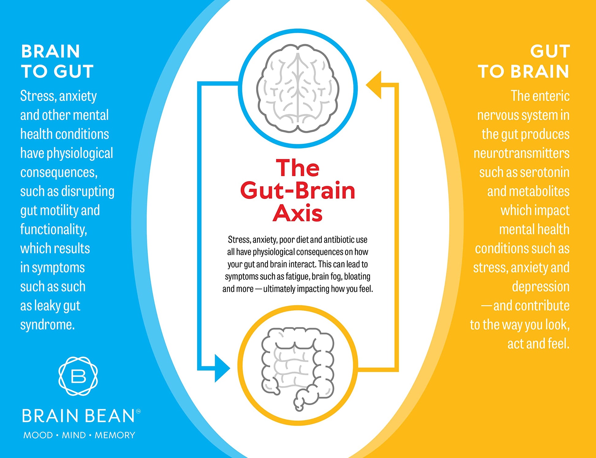 Brain Basics Ultra Pure IgG Supplement - Dairy-Free Supplement IgG-Immunolin Powder, Blended Vitamin & Mineral Supplements, 150g, 60 Servings Brain Bean buy supplements Au