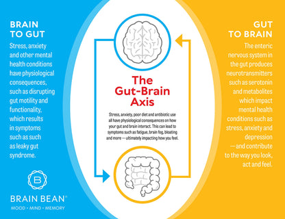 Brain Basics Ultra Pure IgG Supplement - Dairy-Free Supplement IgG-Immunolin Powder, Blended Vitamin & Mineral Supplements, 150g, 60 Servings Brain Bean buy supplements Au