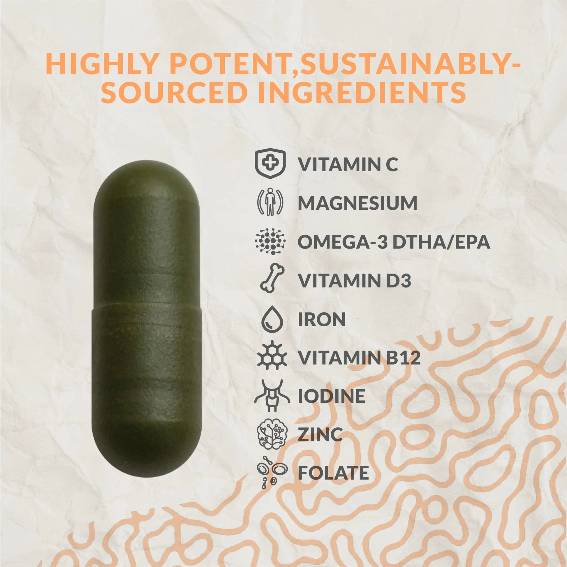 Complete Vegan Multivitamin with Iron, Omega 3, Vitamin D3, Folate, Zinc, Vitamin B12, & More - 100% Sustainable Vegan Vitamins Terraseed