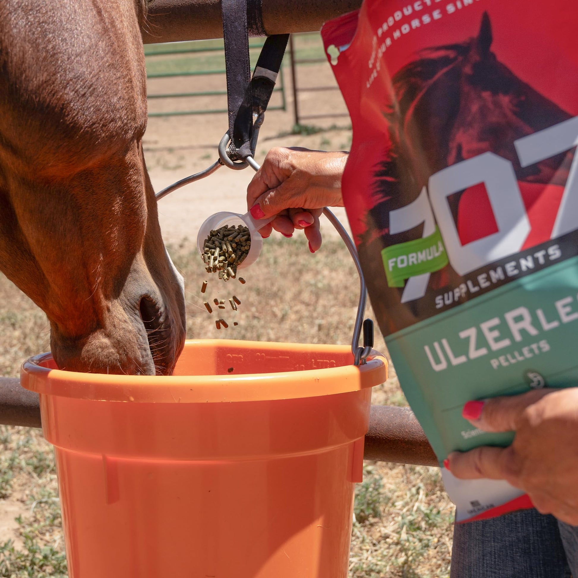Formula 707 ULZERless Equine Supplement, 7.5lb Bag - Natural Gut Support for Horses with Ulcer Risk Factors Formula 707 buy supplements Au