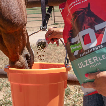 Formula 707 ULZERless Equine Supplement, 7.5lb Bag - Natural Gut Support for Horses with Ulcer Risk Factors Formula 707 buy supplements Au