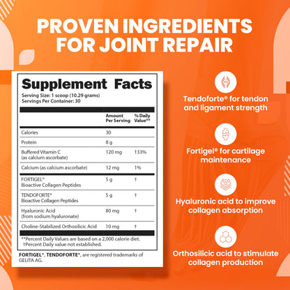 SaltWrap Collagen Synthesis - Collagen Peptides for Joints with Fortigel, Tendoforte, Best Collagen Powder for Tendons, Ligaments