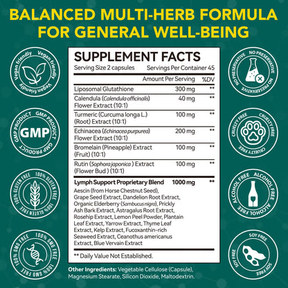 Lymphatic Drainage Supplements, Lymphatic Drainage Capsules - Wellness Complex 21 in 1 Aescia, Turmeric, Bromelain, Echinacea & More - Lymph System Support Capsules ZXXBEST buy supplements Au
