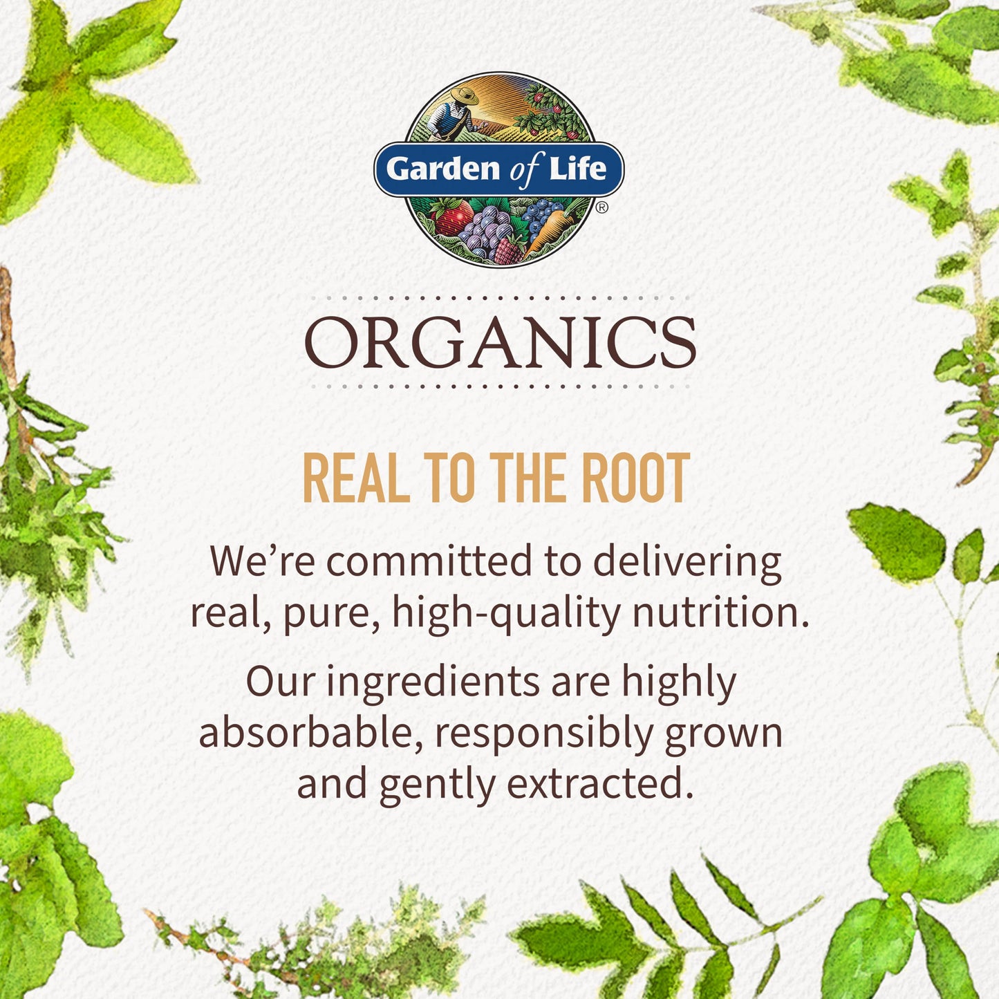 Garden of Life Organics Elderberry Gummies for Adults & Kids - Immune Support Supplement with Organic Fruit, Herbal Blend, Elderberry, Echinacea, Zinc,