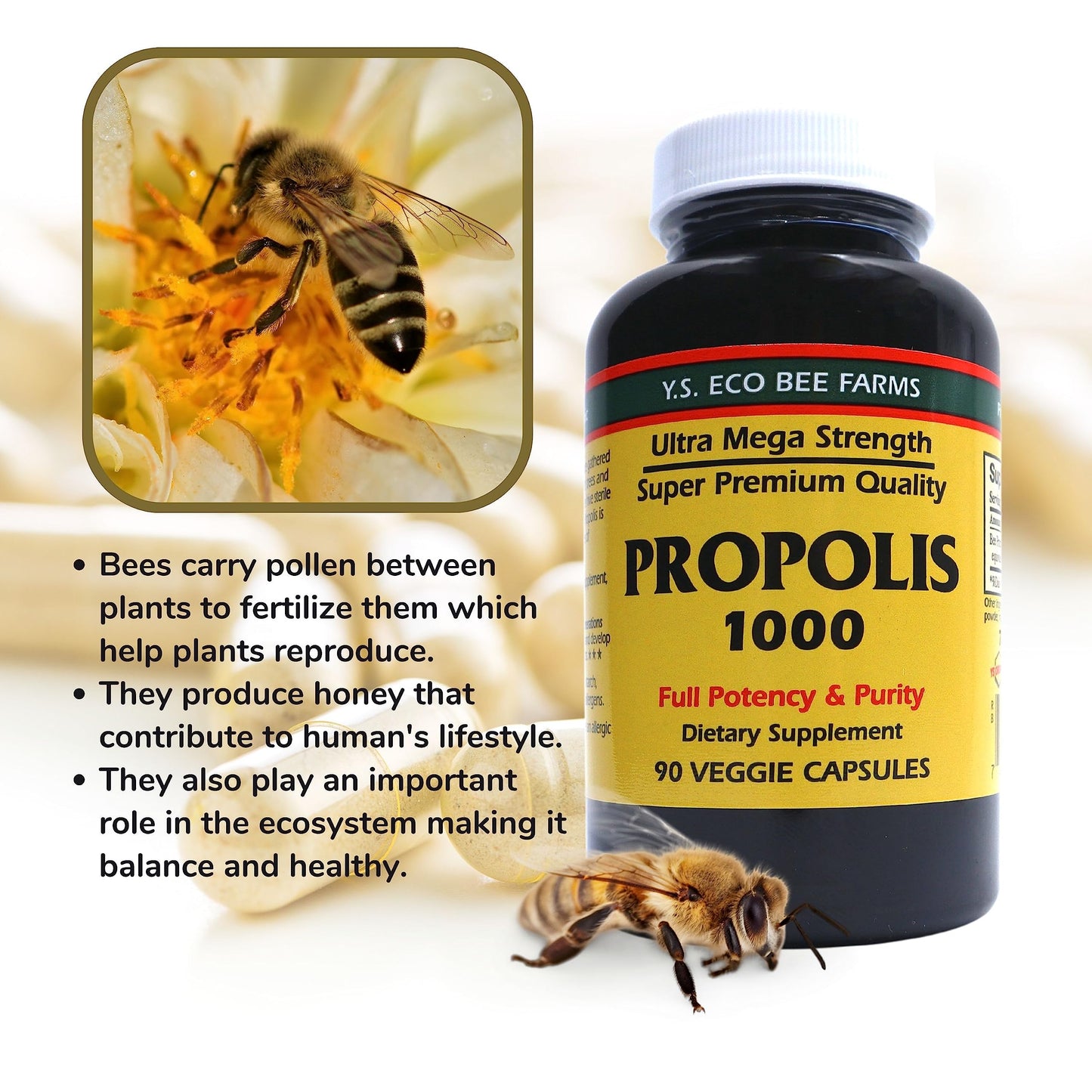 Y.S. Organic Bee Farms Propolis-Raw Unprocessed 1000mg - Your Gateway to Wellness - 90 Capsules with Bonus worldwidenutrition Multi Purpose Key Chain Worldwide Nutrition buy supplements Au