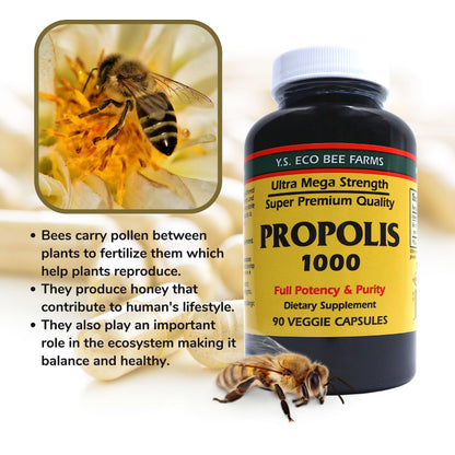 Y.S. Organic Bee Farms Propolis-Raw Unprocessed 1000mg - Your Gateway to Wellness - 90 Capsules with Bonus worldwidenutrition Multi Purpose Key Chain Worldwide Nutrition buy supplements Au