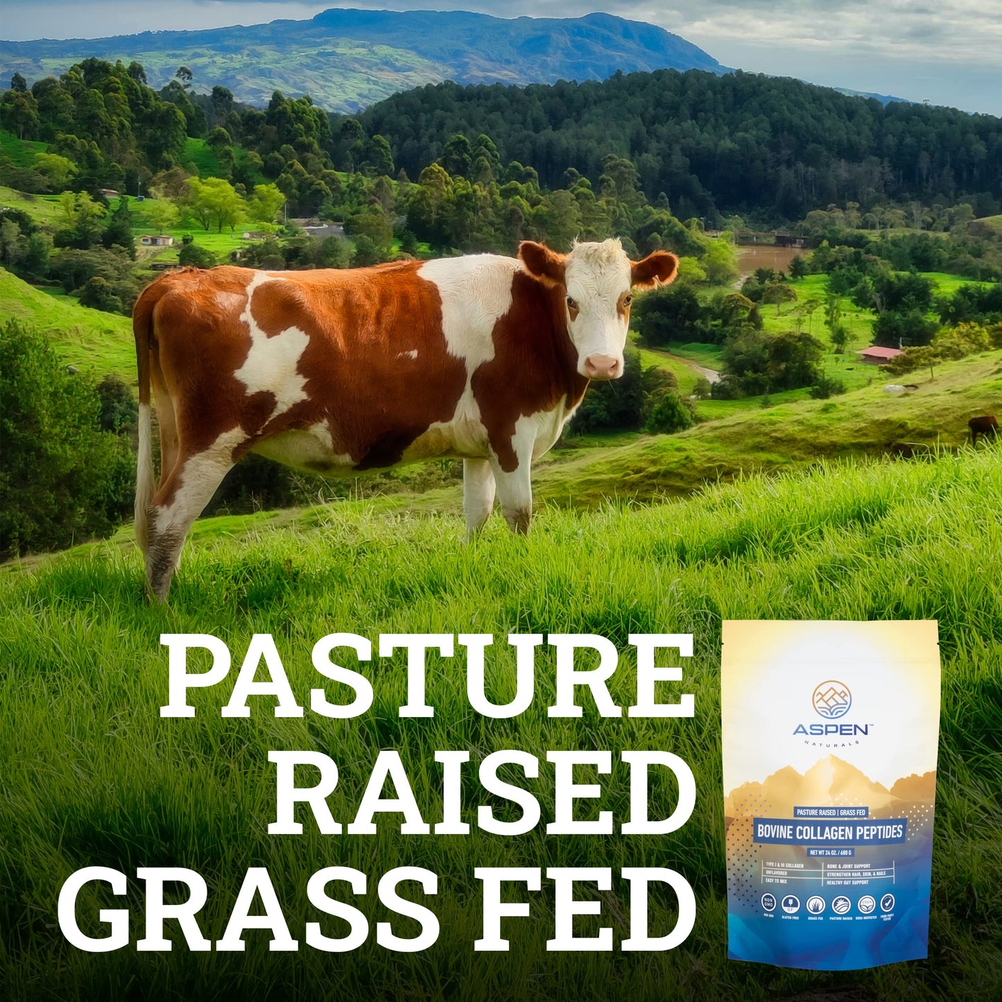 ASPEN NATURALS Grass fed Bovine Collagen Peptides Powder 3lb - Collagen for Women, USA Sourced from USDA Inspected Cattle, Gluten Free, Paleo Friendly, Water Soluble, Flavorless, Easily Mixes ASPEN NATURALS buy supplements Au