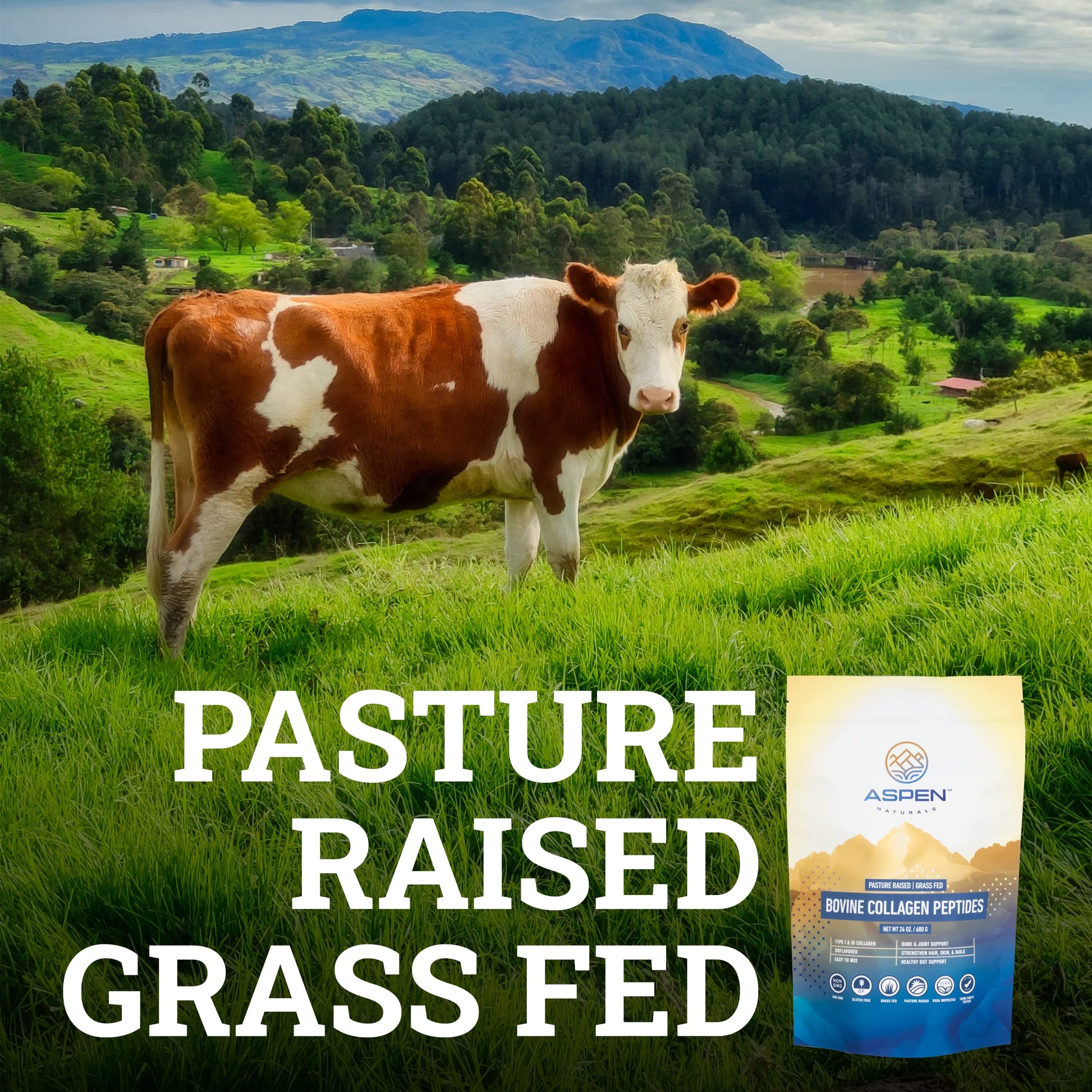 ASPEN NATURALS Grass fed Bovine Collagen Peptides Powder 3lb - Collagen for Women, USA Sourced from USDA Inspected Cattle, Gluten Free, Paleo Friendly, Water Soluble, Flavorless, Easily Mixes ASPEN NATURALS buy supplements Au