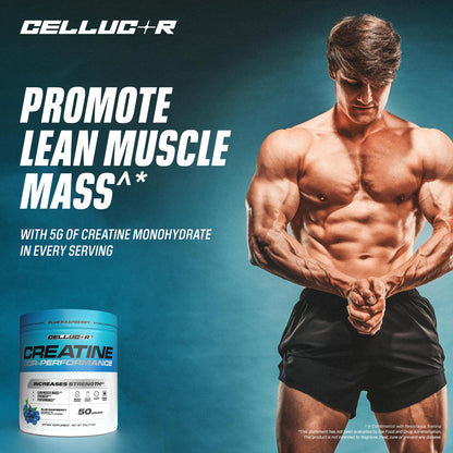 Cellucor Creatine Powder, Blue Raspberry Flavor - Increases Strength, Lean Muscle Mass & Endurance, Micronized Creatine for Fast Absorption